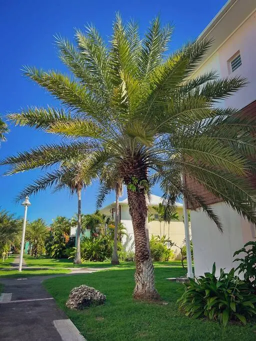 Nouvelle Annonce ! Crystal Beach Suite Saint-Francois